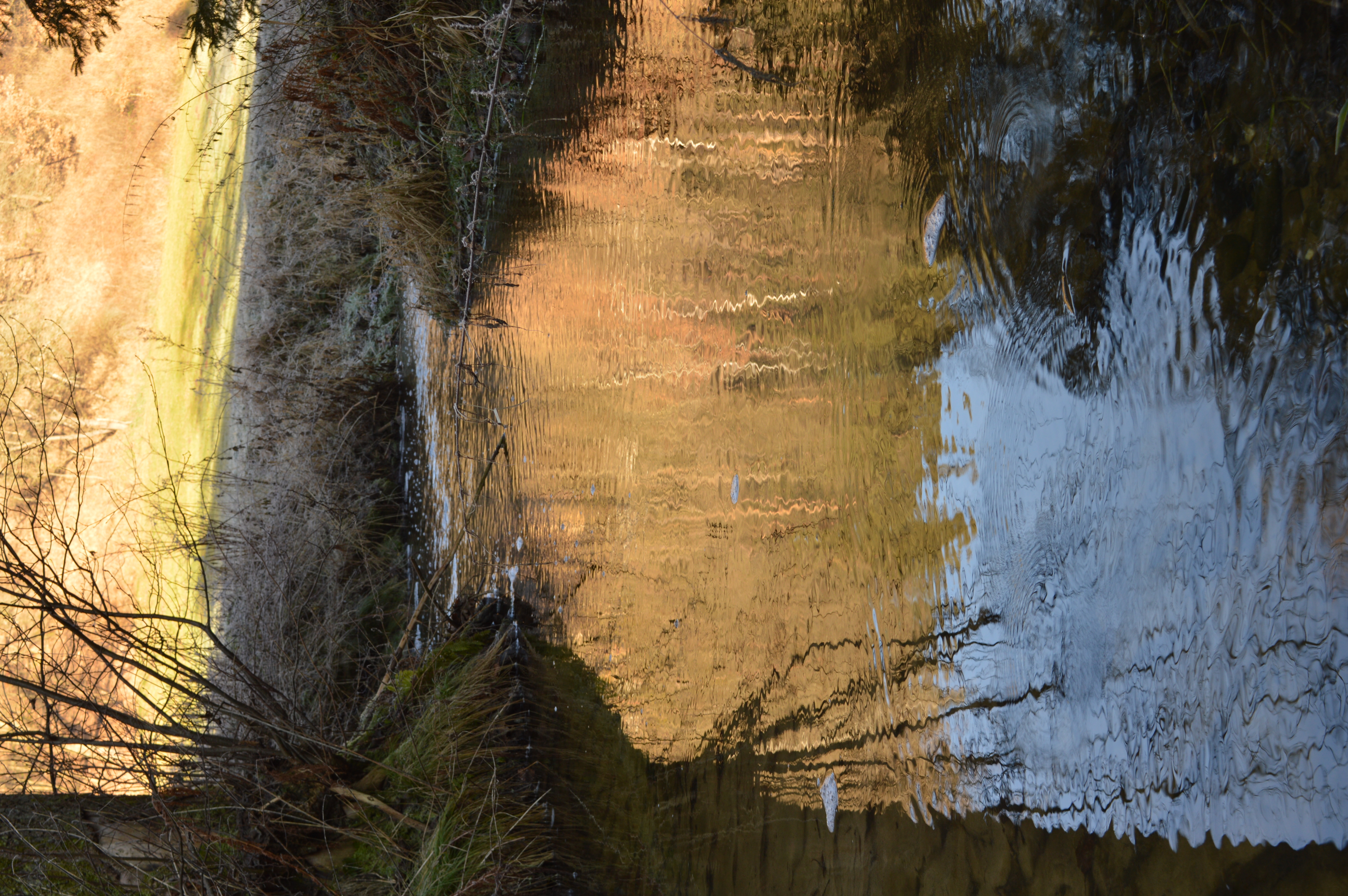 Zeitzbach Bild 1